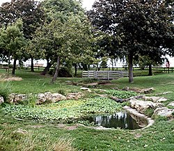 Kolam, Chalkwell Park - geograph.org.inggris - 232073.jpg