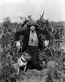 <i>The Scarecrow</i> (1920 film) 1920 film