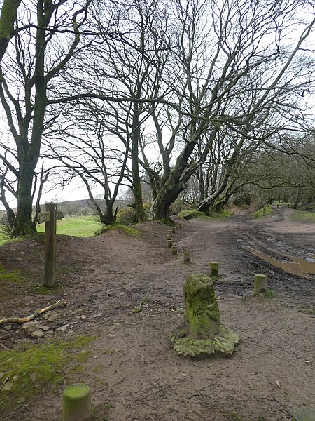 File:The Triscombe Stone - geograph.org.uk - 6085465.jpg