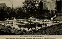 Photograph of landscaping around a square reflective pool with a cherub statue.