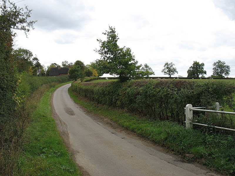 File:The lane to Haselbech Hill - geograph.org.uk - 2619981.jpg