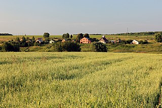 Kolomensky District District in Moscow Oblast, Russia