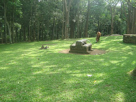 Thekkady Forest