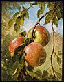 "Thomas_Worthington_Whittredge_-_Apples_-_48.490_-_Museum_of_Fine_Arts.jpg" by User:BotMultichillT