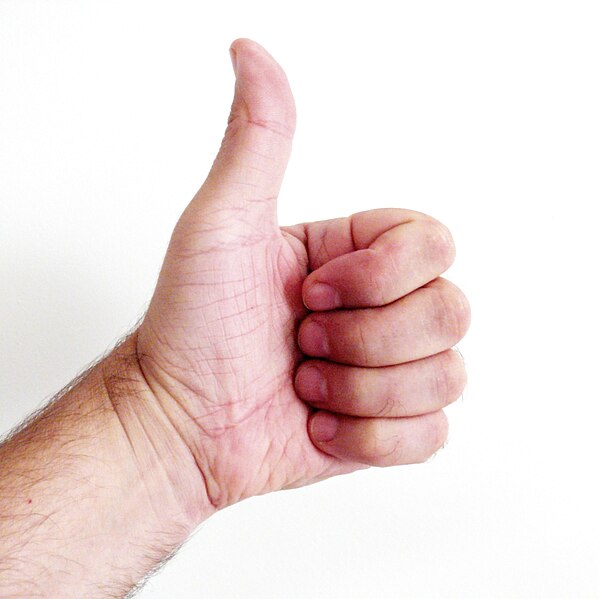 File:Thumb up.JPG