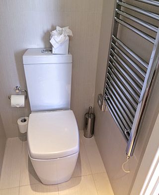 <span class="mw-page-title-main">Flush toilet</span> Toilet that uses water to convey human waste down a pipe