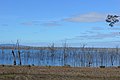 English: Toolondo Reservoir seen at Toolondo, Victoria