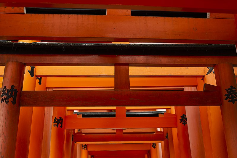 File:Torii at Fushimi Inari-taisha (48885817642).jpg