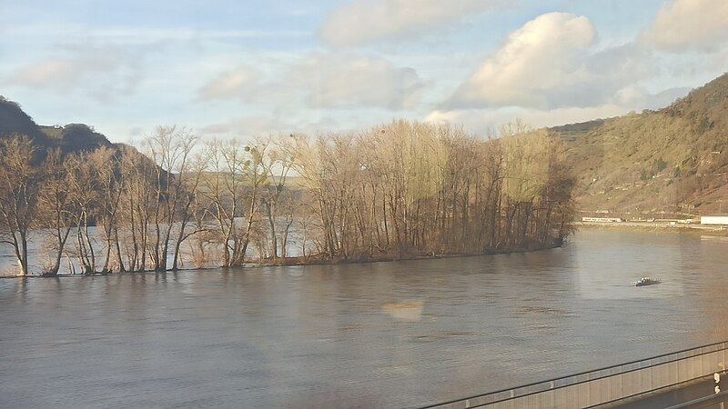 File:Trees and castle on a river 02.jpg