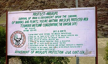 Conservation in Tsomomiri Wetland Conservation, Jammu and Kashmir, India