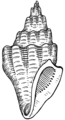 Turreted Shell (PSF).png