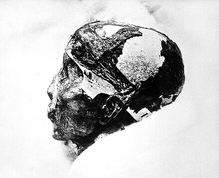 Close-up of Tutankhamun's mummified head