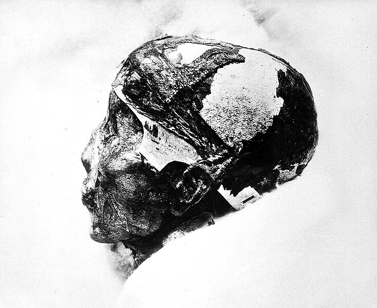 File:Tutankhamun's mummified head.jpg