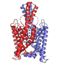 Thumbnail for Two-pore-domain potassium channel