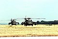 U.S. Army UH-60 Black Hawks, Bosnia-Herzegovina in 1996.JPEG