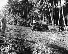 Las tropas estadounidenses tomaron las islas y establecieron su base en Guadalcanal.