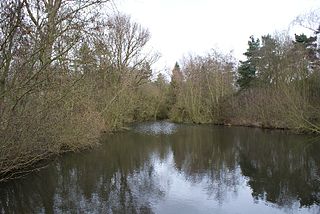 <span class="mw-page-title-main">Ufton Fields</span>