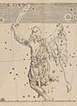 Orion, as seen in Bayer's Uranometria.