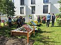 Urban-Gardening-Demonstrationsgarten der Hochschule Augsburg 05.jpg
