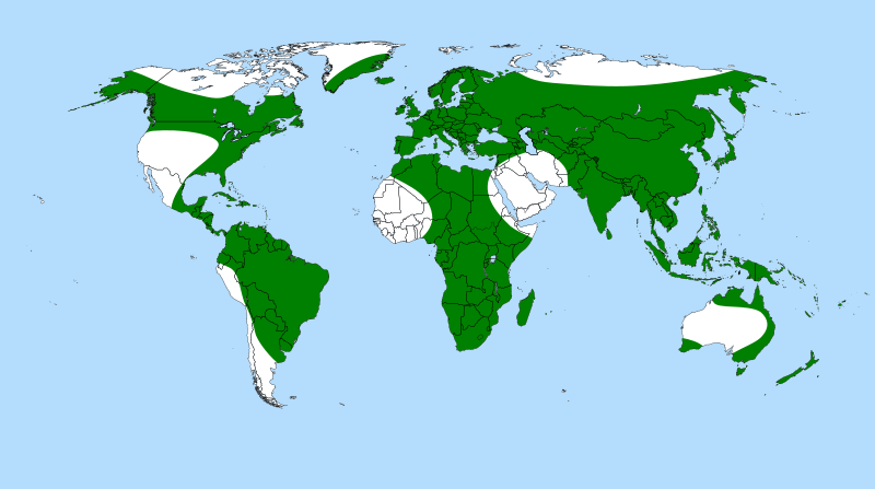 File:Utricularia distribution.svg