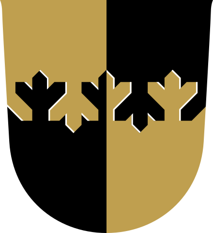 A shield parted per pale and per fir twig fess. Coat of arms of former Finnish municipality of Varpaisjärvi.