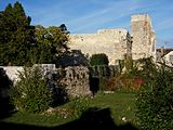 Ruines du château de Verneuil-en-Bourbonnais.