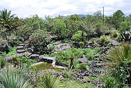 Botanická zahrada Biologického ústavu.