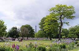 Vue sur la Tour Eiffel du jardin des Tuileries