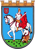 Wappen von Bingen