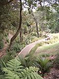 Thumbnail for Western Park, Auckland