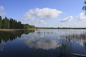 Beyaz göl (Ryazan Oblastı Klepikovsky Bölgesi, kuzey) .jpg