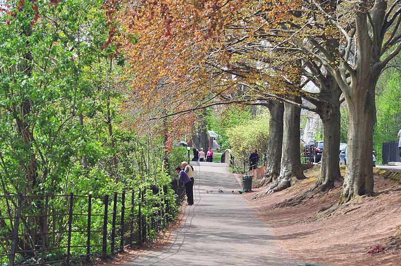 File:Wild Gardens Road, Roath - Cardiff - geograph.org.uk - 1838100.jpg