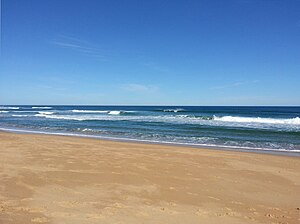 Williamson's Beach, Lower Powlett Road