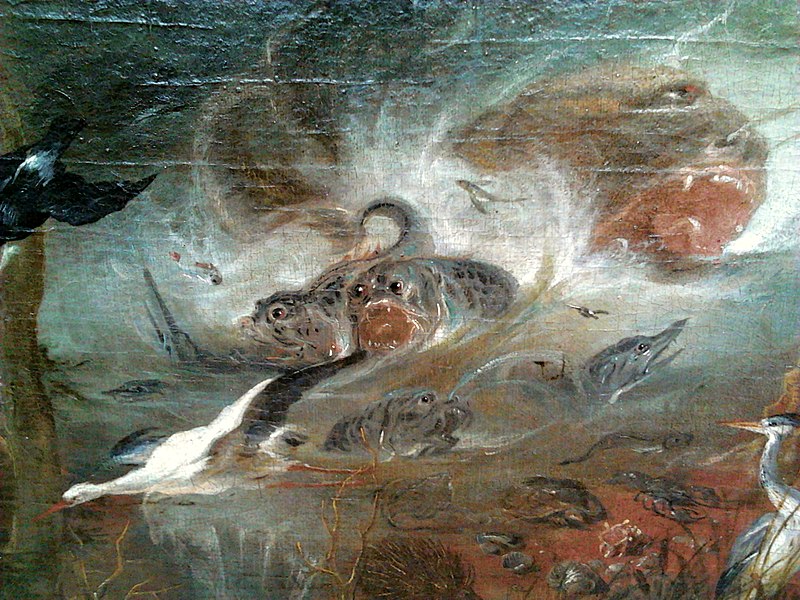 File:Willmann Creation of the World (detail) 01.jpg