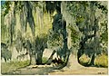 Winslow Homer - Among the Oaks.jpg