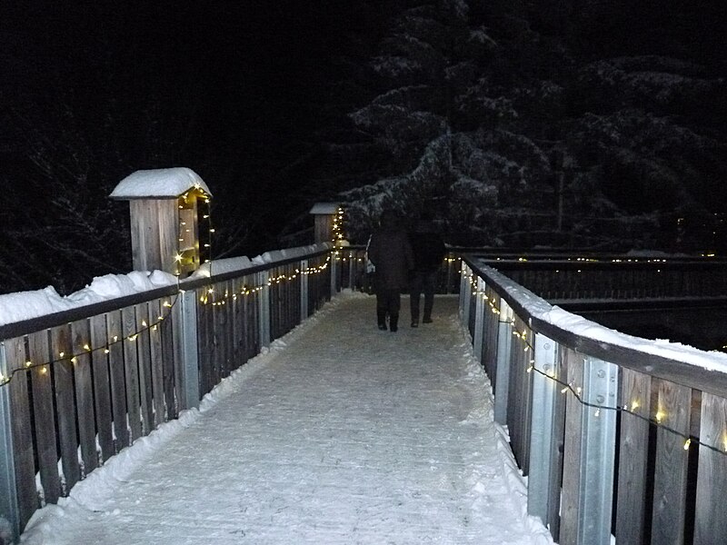 File:Winterstimmung auf dem Waldwipfelweg.JPG