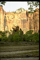 Zion National Park ZION9552.jpg