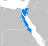 Arabe bedawi.PNG