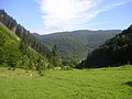 Долина возле Вучково - panoramio.jpg