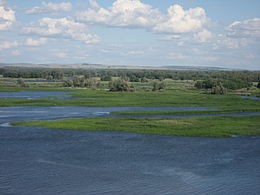 Устье реки Терешки.jpg