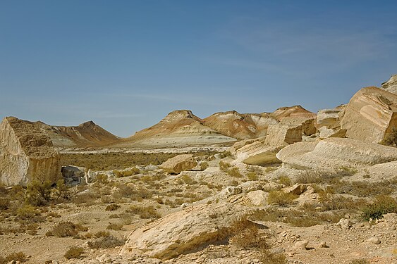 1. South Ustyurt National Nature Park author - NatalieChunina