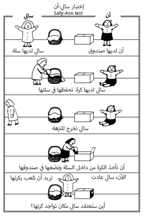 إختبار سالي-آن.png