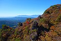 霊山の天狗の相撲場(210523)