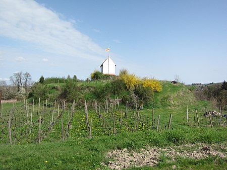 08 Kenzingen Castle