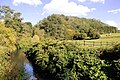 La Héne à Havré in aprésau.