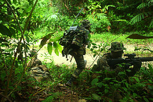 Jungle Warfare