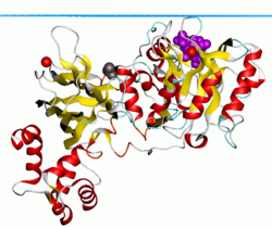 Phospholipase C-delta isoform 1. Blue plane shows hydrocarbon boundary of the lipid bilayer 1djx opm.png
