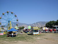 2009 Wildflower Festival