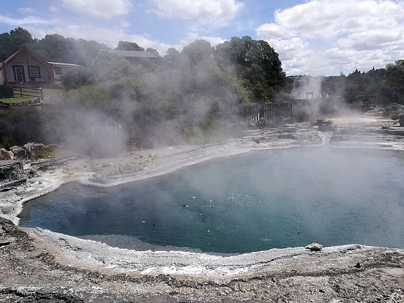 File:2018-12-30 151051 Whakarewarewa Thermal Village anagoria.jpg