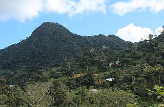 <span class="mw-page-title-main">Borinquen, Caguas, Puerto Rico</span> Barrio of Puerto Rico